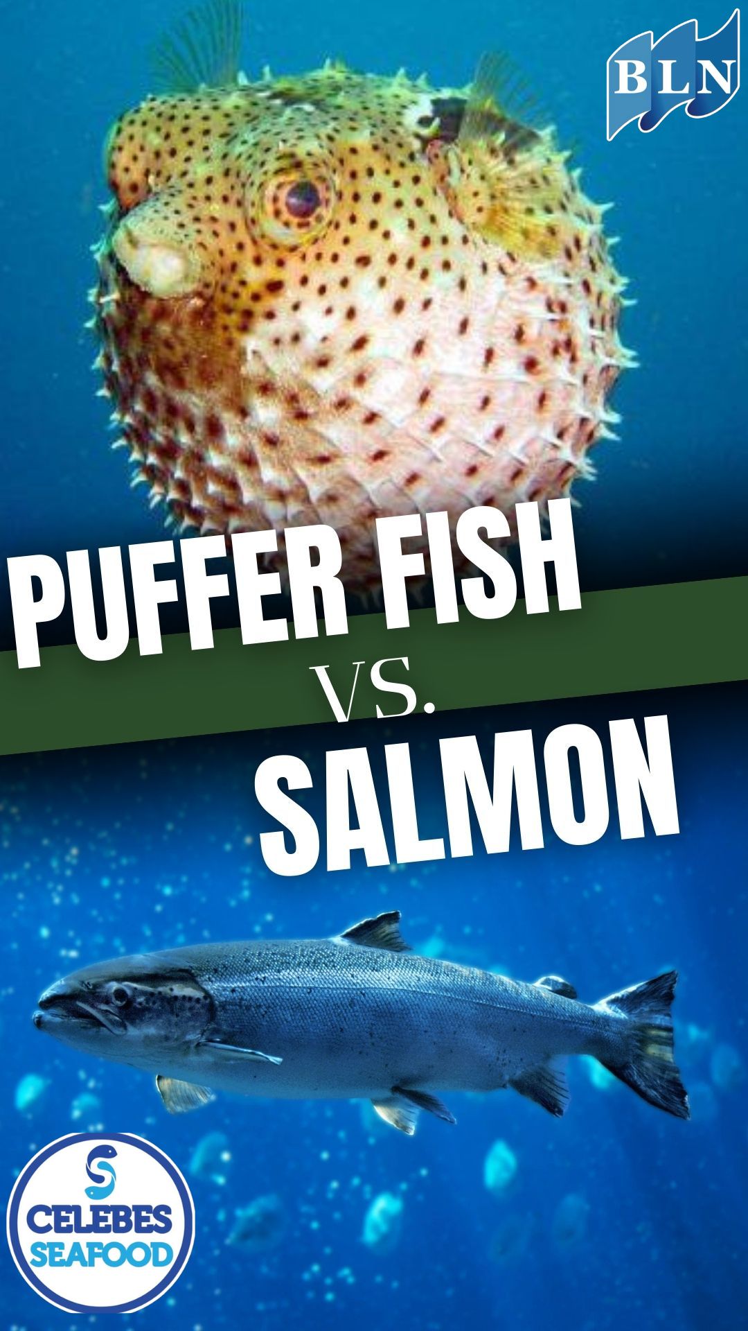 Nutritional Content Puffer Fish vs Salmon